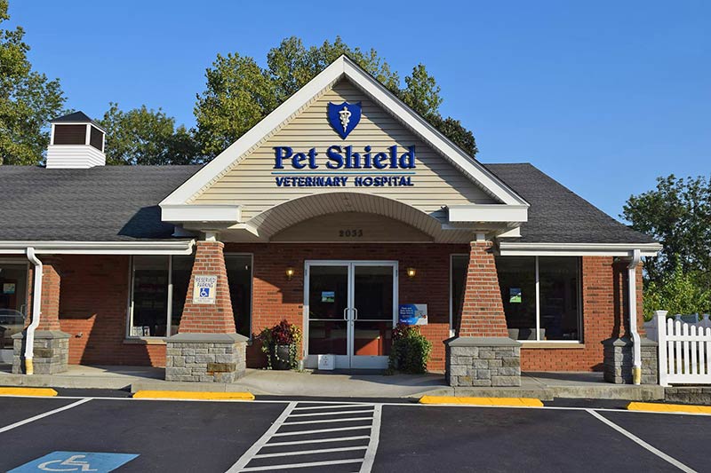 North Branford veterinary hospital